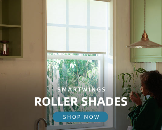 roller shades collection 2025