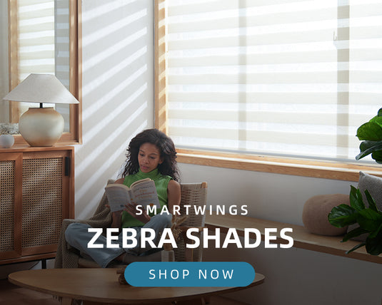 zebra shades collection 2025
